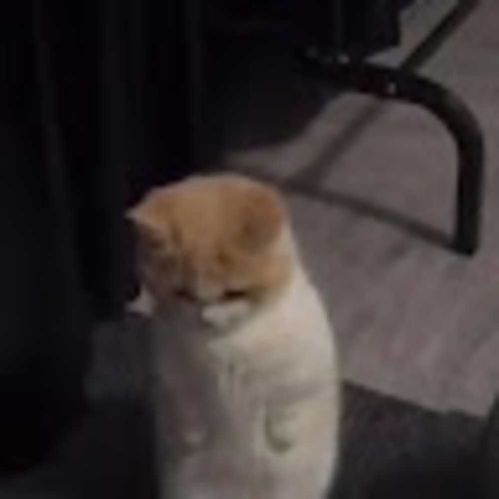 Meet your Posher, No